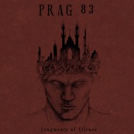 prag83fragments.jpg