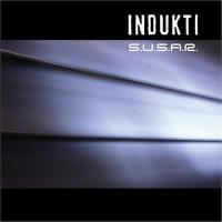 indukti2004