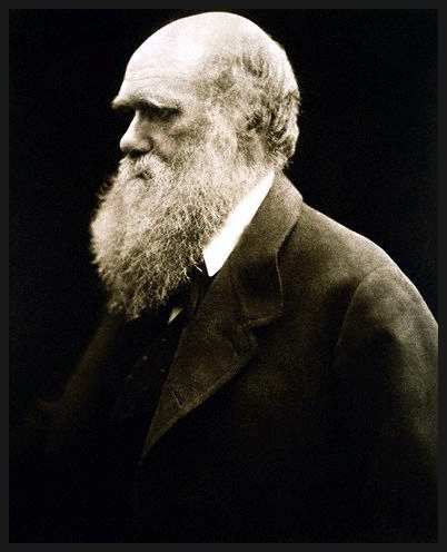 darwin