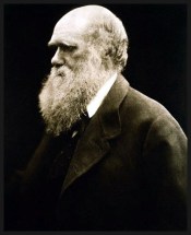 darwin